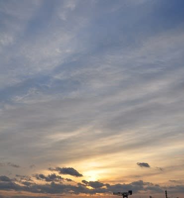 今年も宜しくお願い致します。
