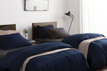 フランスベッド　カバー　ライン＆アースN