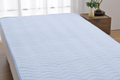 ロマンス小杉　敷きパッド