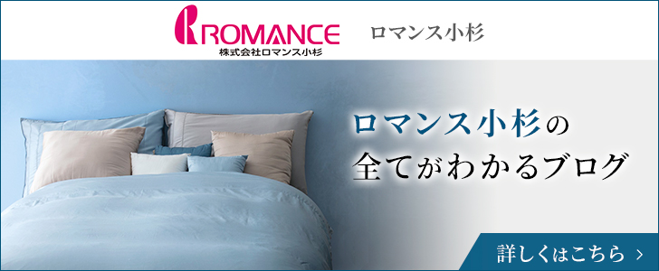 ロマンス小杉の全てがわかるブログ