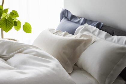 西川　カバー　イメージ