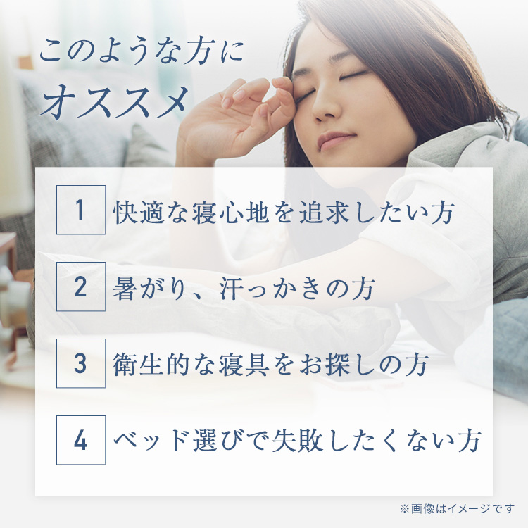 フランスベッド　ベッドパッド　オールシーズンメッシュパッド