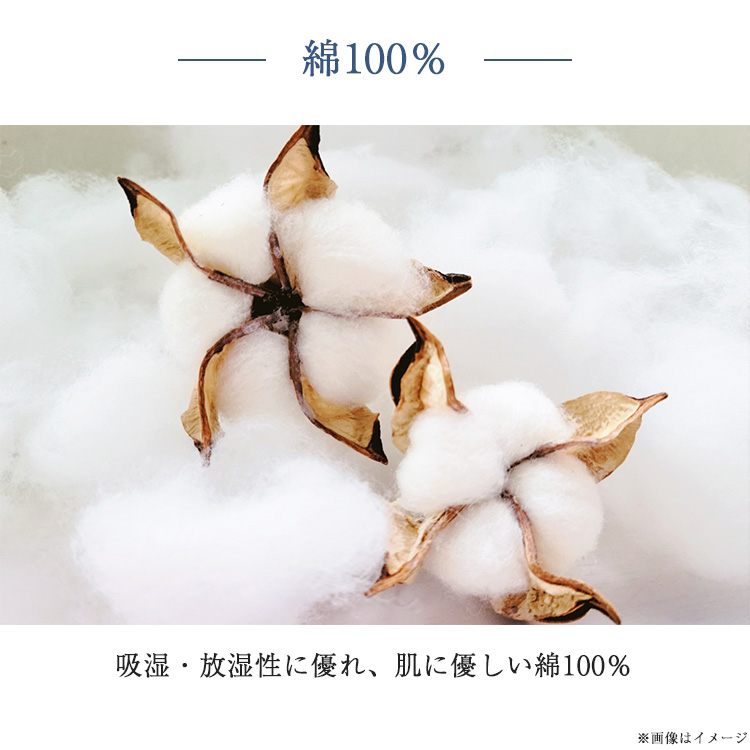 綿100%