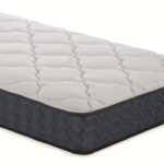 フランスベッド マットレス TW-106AgPW MON