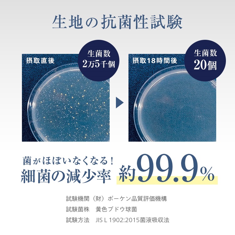 フランスベッド　キュリエスエージー