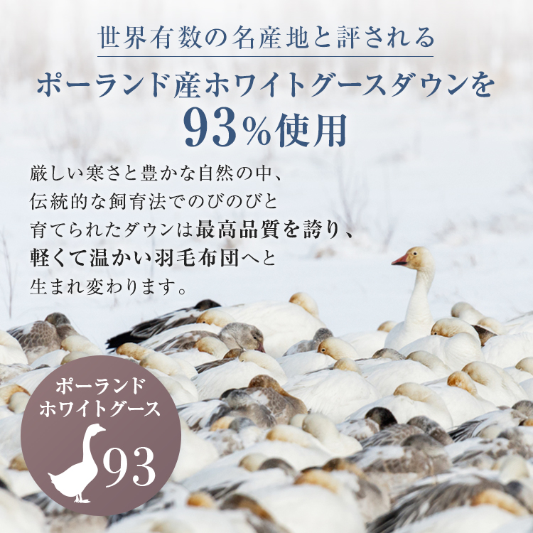 西川 羽毛布団 西川プレミアム NP7052 ポーランドホワイトグースダウン93