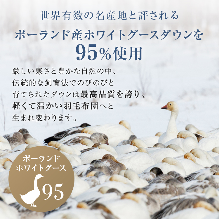 西川 羽毛布団 西川プレミアム NP7053 ポーランドホワイトグースダウン95