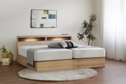 フランスベッド　ベッドフレーム　エコモア02C