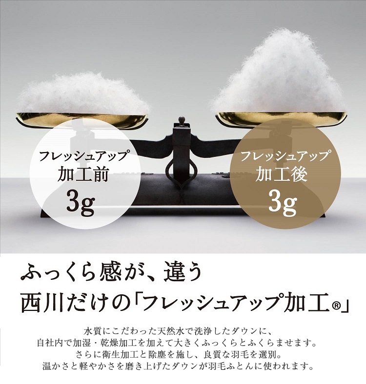 西川 羽毛布団 西川プレミアム NP7052 フレッシュアップ