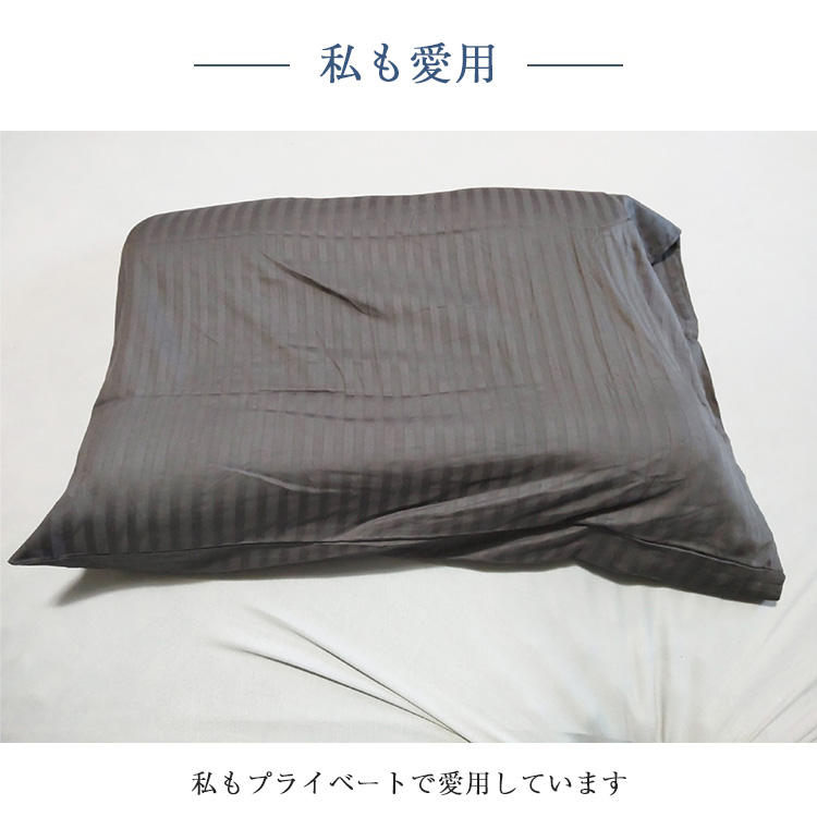 フランスベッド　枕カバー　ライン＆アースN