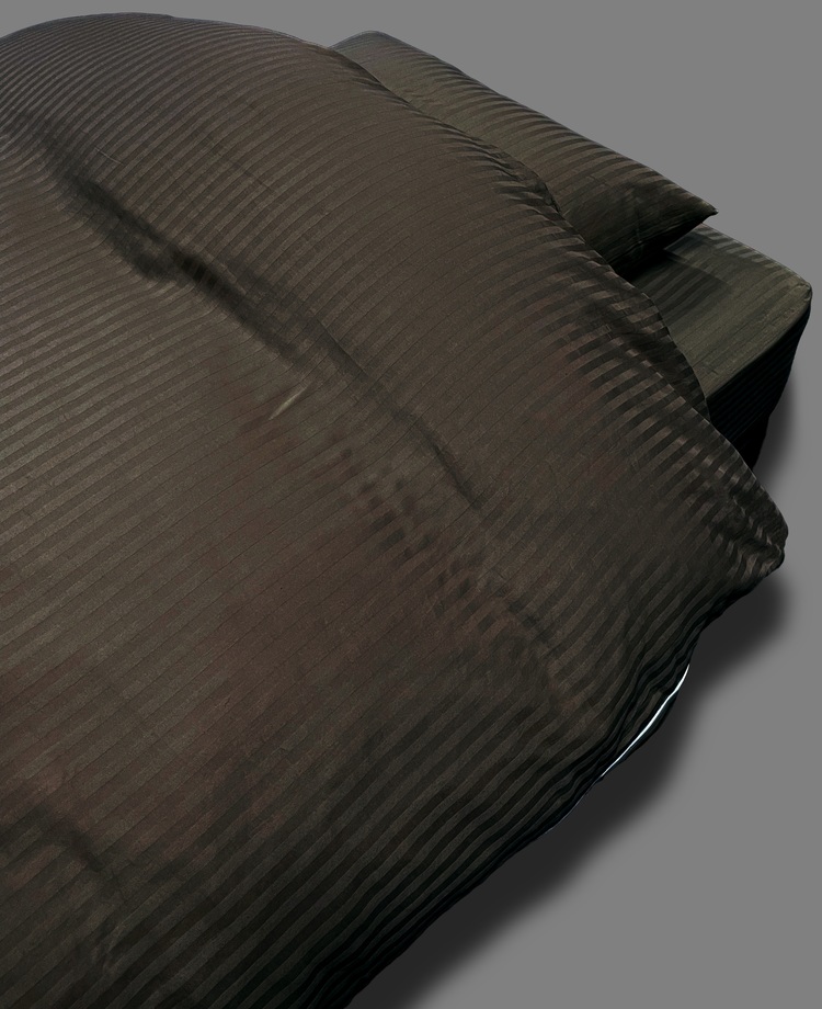 フランスベッド 掛け布団カバー ライン＆アースN 