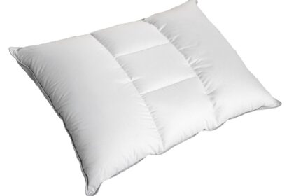 フランスベッド　枕　ラグジュアリーダウンピロー