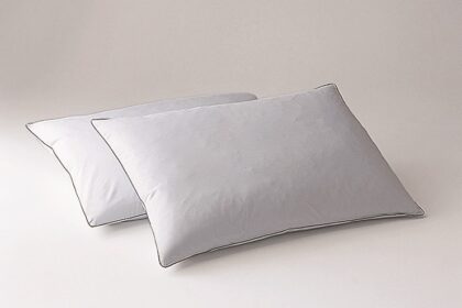 日本ベッド　枕　ピローフェザーデュアル