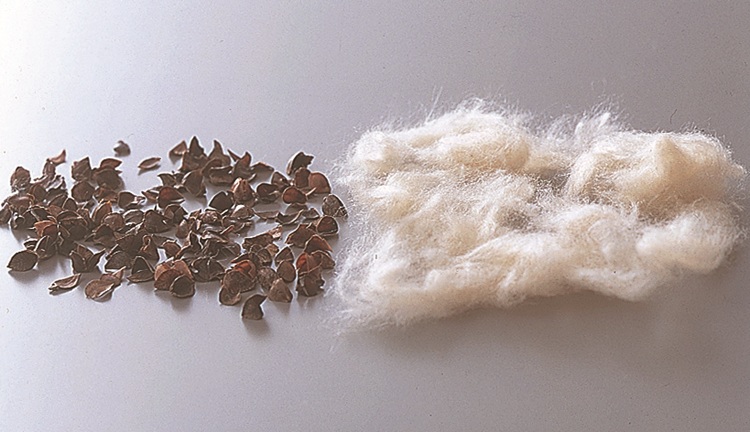 日本ベッド　枕　ピローフィフティ