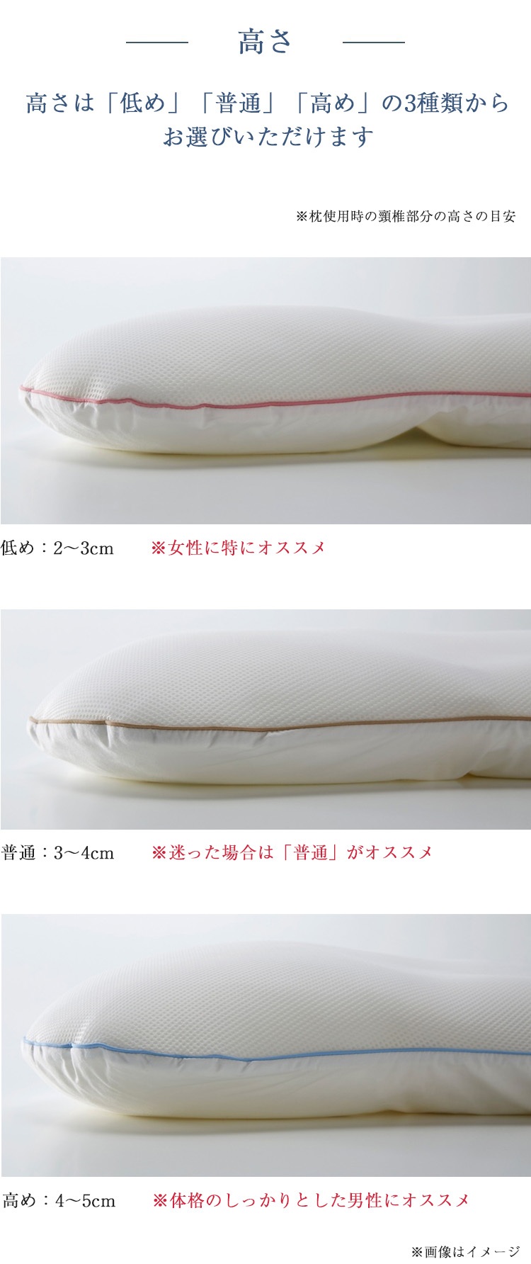 まくらのキタムラ 枕 ジムナストプラス 内容