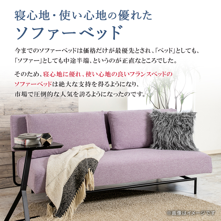 フランスベッド　ソファーベッド　レジーファ3
