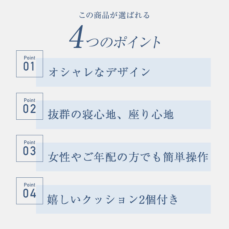 フランスベッド　ソファーベッド　レジーファ3