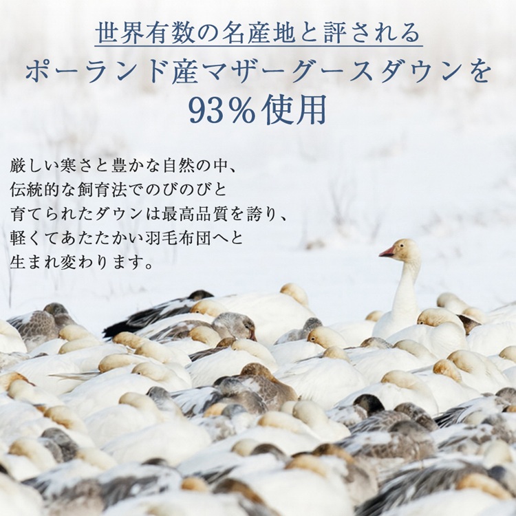 山甚物産　羽毛布団　リージェント　ダウン率