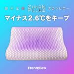 フランスベッド　枕　ズカンピロー