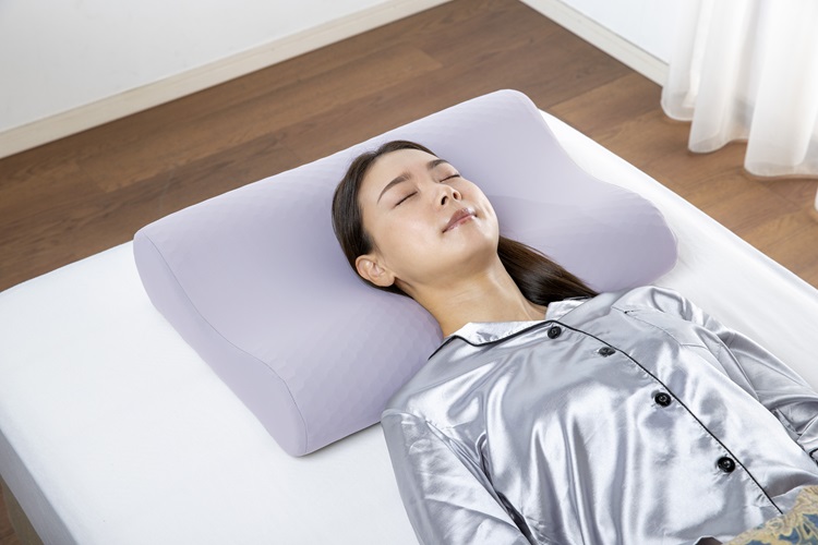 フランスベッド　枕　ズカンピロー