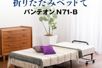 フランスベッド　折りたたみベッド　パンテオン