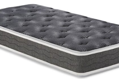 フランスベッド マットレス LT-9900PW MON