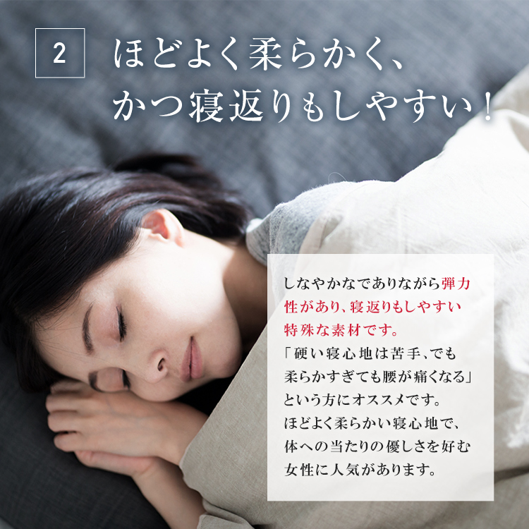 フランスベッド　ブレスエアーエクストラシルキー