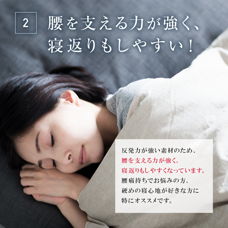 フランスベッド　ブレスエアーエクストラ