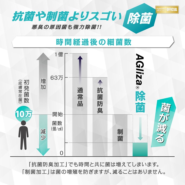 フランスベッド　枕　ウミガメピロー