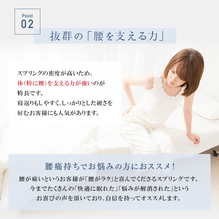 フランスベッド マットレス LTレガシー