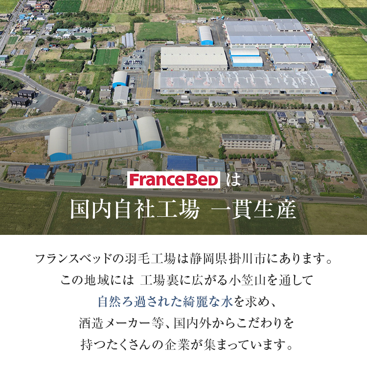 フランスベッド　羽毛布団　AS-DLQ-90　一貫生産