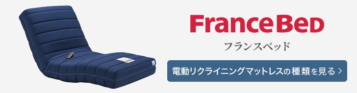 フランスベッド　電動リクライニングマットレス　種類