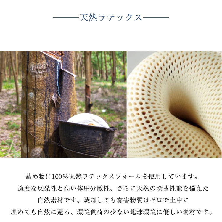 フランスベッド マットレス LTレガシー