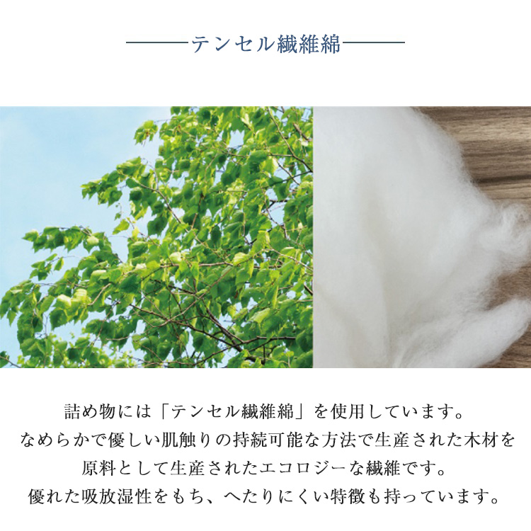 フランスベッド マットレス LTレガシー