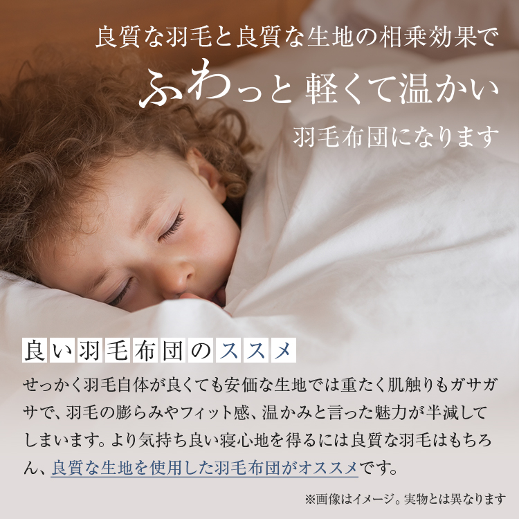 フランスベッド　羽毛布団　AS-DLQ-90　軽くてあたたかい