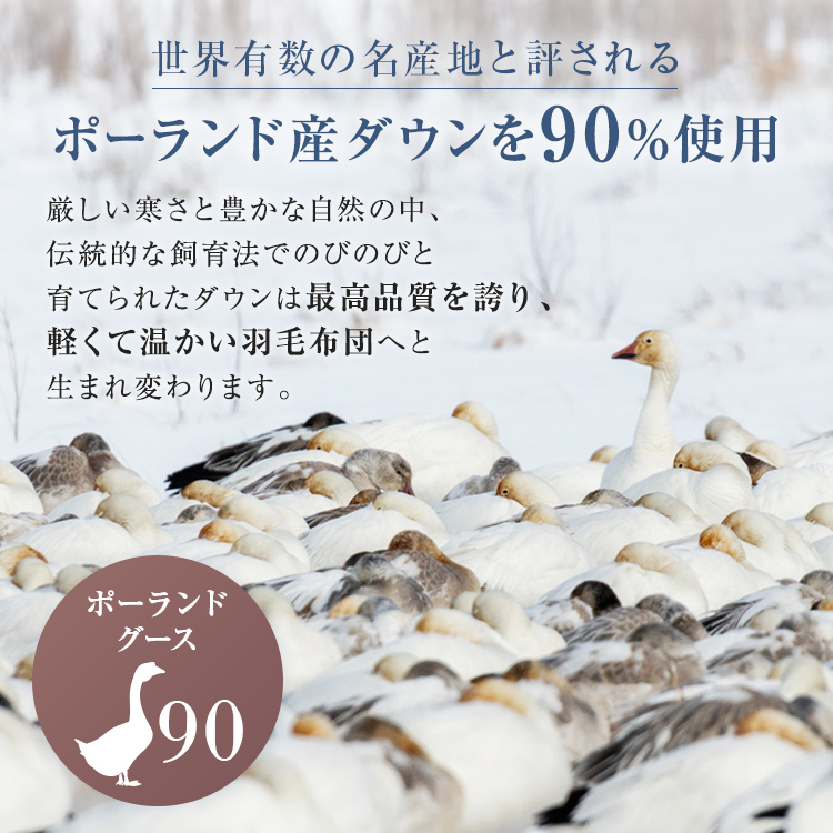 フランスベッド　羽毛布団　AS-DLQ-90　ポーランドダウン90％