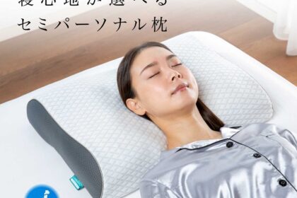 フランスベッド　枕　ショルダーフィットピロープラス