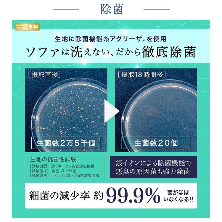 フランスベッド　ソファーベッド　スイミーPlus (スイミープラス）