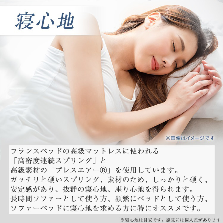 フランスベッド　ソファーベッド　スイミーPlus (スイミープラス）