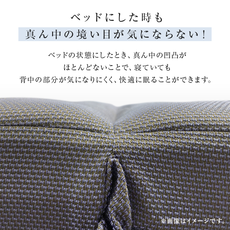 フランスベッド　ソファーベッド　スイミーPlus (スイミープラス）