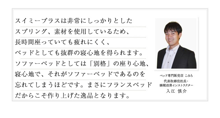 フランスベッド　ソファーベッド　スイミーPlus (スイミープラス）