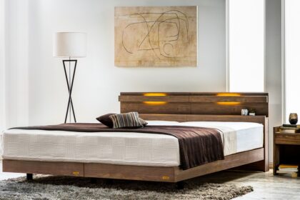 フランスベッド　ベッドフレーム　ファディア　FAD-C1