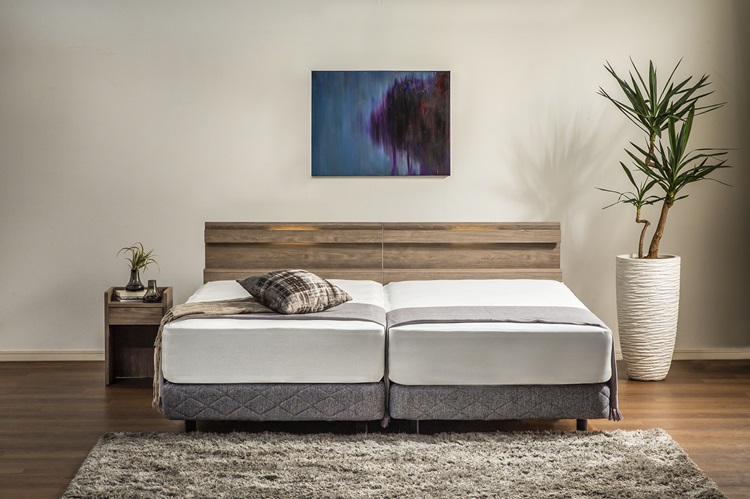 フランスベッド ベッドフレーム ファディア FAD-C1 イメージ画像