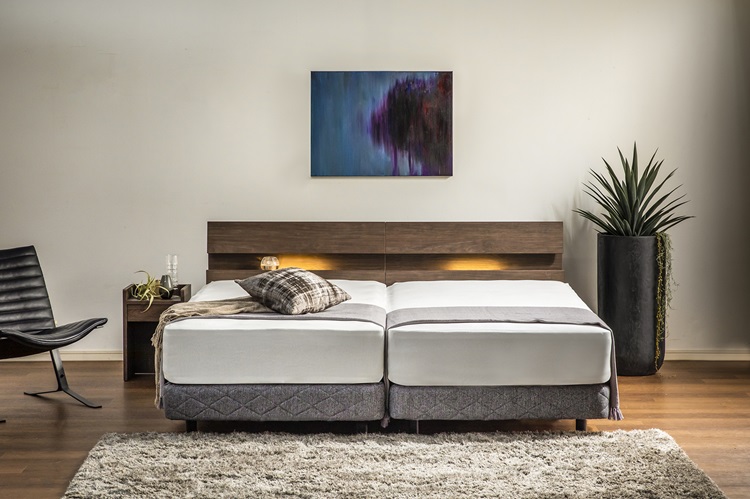 フランスベッド ベッドフレーム ファディア FAD-C2 イメージ画像