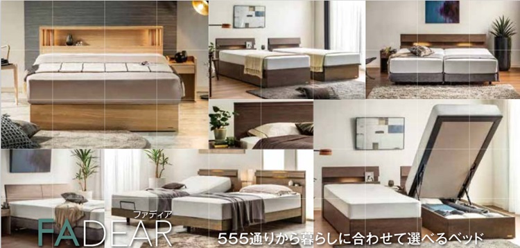 フランスベッド ベッドフレーム ファディア FAD-F1 商品画像