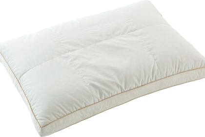 ドリームベッド　枕　P-1001 2Wayダウン＆フェザーピロー