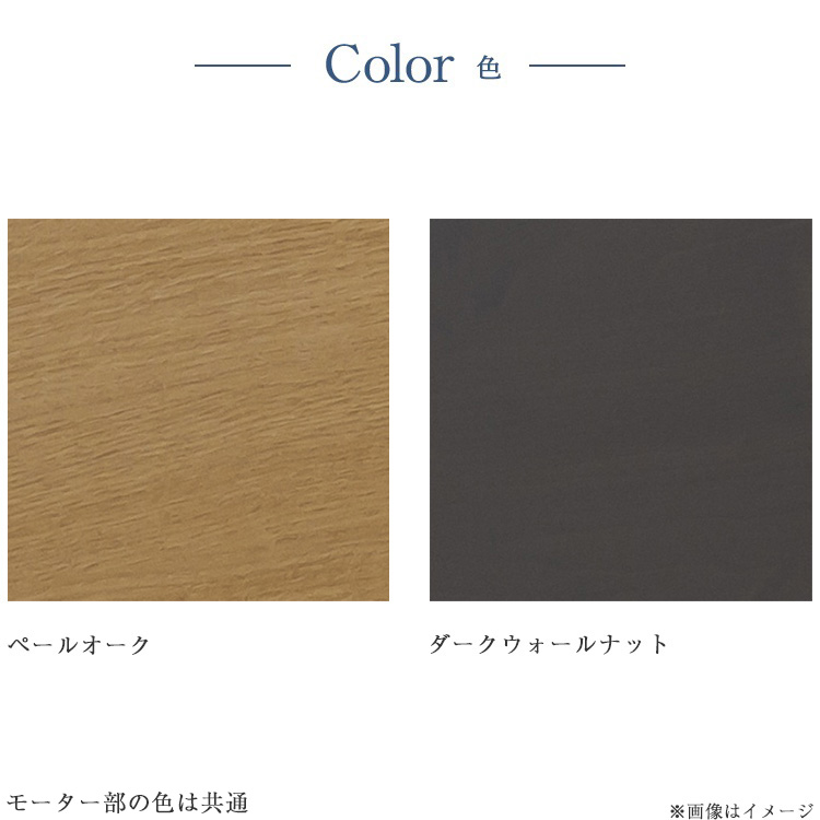 フランスベッド　電動ベッドフレーム　レステックス101F　カラー