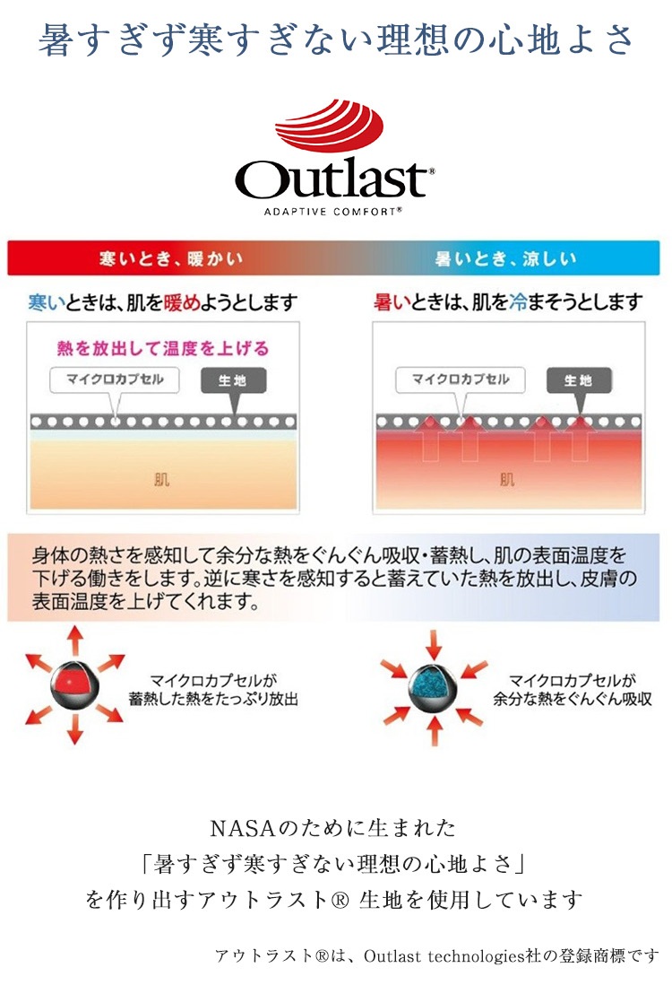 ドリームベッド　枕　P-916N ダウンピロー　内容