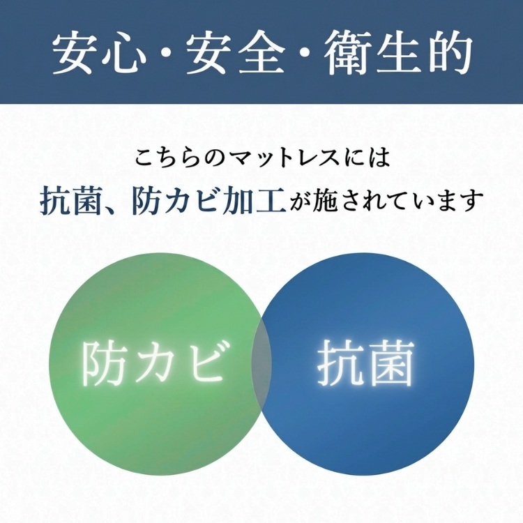 パラマウントベッド　マットレス　Active Sleep MATTRESS モデル S 厚さ12cm　防カビ抗菌