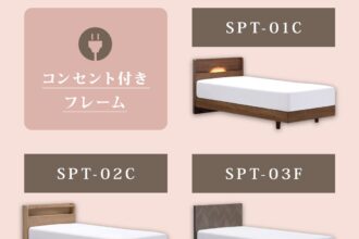 フランスベッド　ベッドフレーム　SPT